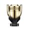 Rabanne Invictus Elixir parfum elixir - 50 ml