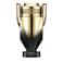 Rabanne Invictus Elixir parfum elixir - 200 ml