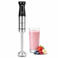 Emerio  Staafmixer - 1000W - Regelbare snelheid - RVS
