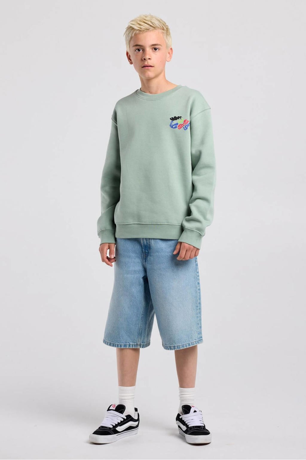 Lichtgroene jongens America Today sweater met backprint, lange mouwen, ronde hals en geribde boorden