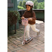 thumbnail: Banwood Pin & Ride mandje