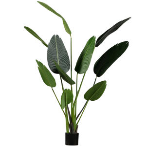 Strelitzia kunstplant (164 cm)