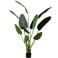 WOOOD Strelitzia kunstplant (164 cm)