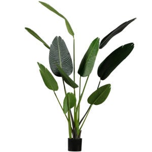 Strelitzia kunstplant (164 cm)