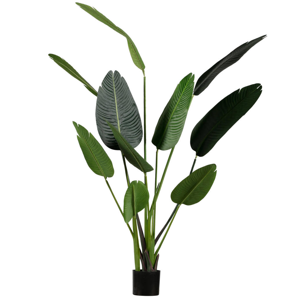 WOOOD WOOOD Strelitzia Kunstplant - Groen - 96x164x63