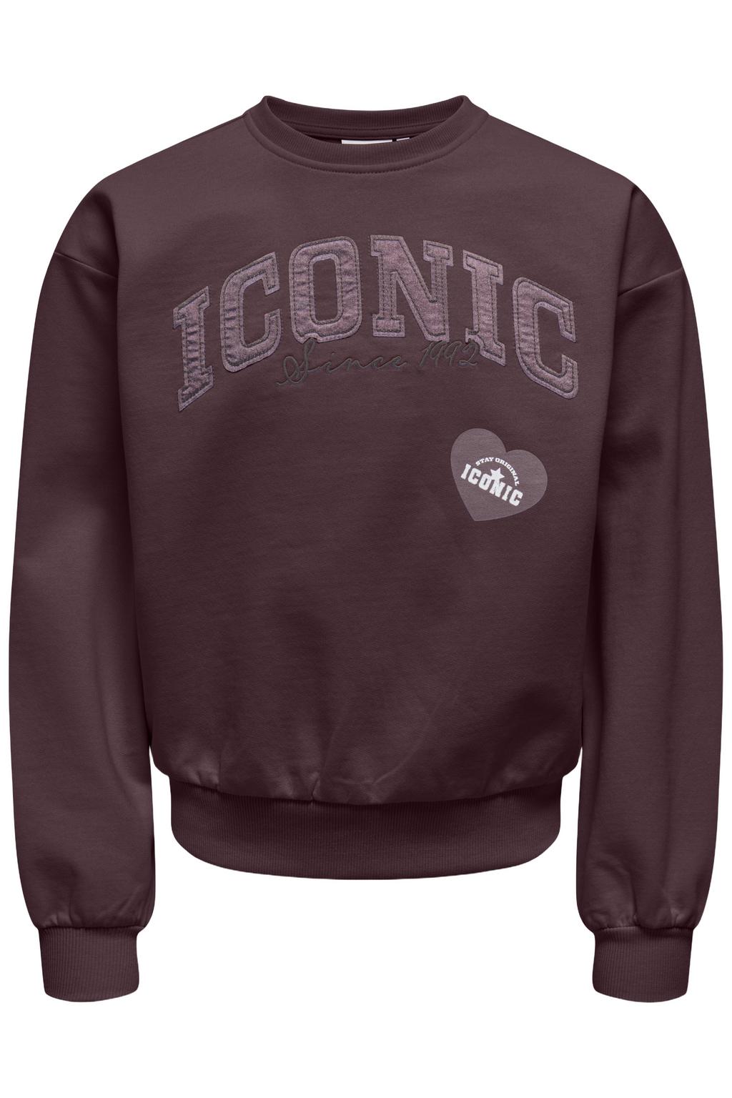 Bruine meisjes KIDS ONLY GIRL sweater van katoen met printopdruk, lange mouwen, ronde hals en geribde boorden