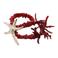 Candy Sweet Jewellery armband met zeester rood/goudkleurig