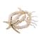 Candy Sweet Jewellery armband met zeester ecru/goudkleurig
