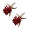 Candy Sweet Jewellery oorbellen met zeester rood/goudkleurig