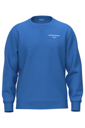 sweater blauw