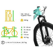 thumbnail: BikeStar  Fully MTB Staal Medium 26 Inch 21 Speed Mintgroen