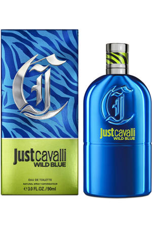 Wild Blue For Him - 90 ml