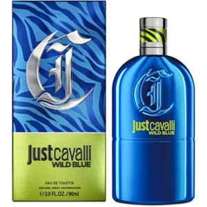Wild Blue For Him - 90 ml