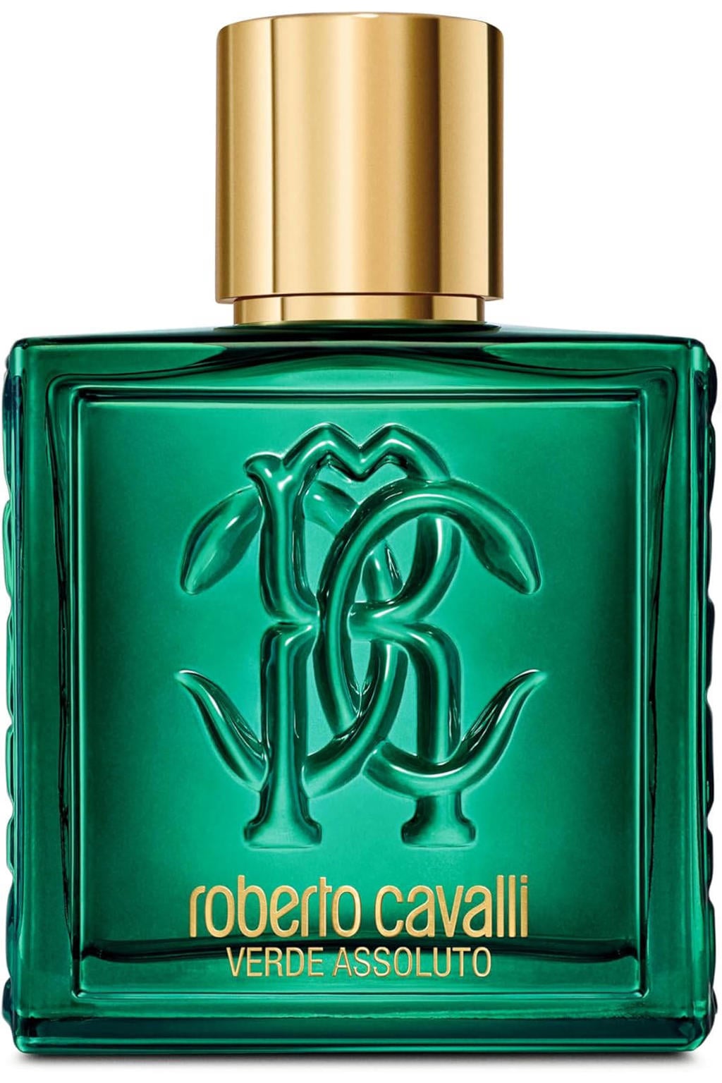 Roberto Cavalli Uomo Verde Assoluto - 100 ml