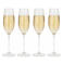 Cookinglife Champagneglazen Solare 210 ml - 4 Stuks