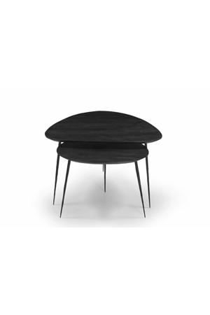 Salontafel Remi - Organisch - Mangohout - Set van 2