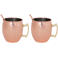Cosy & Trendy Moscow Mule Cocktailbekers met Rietjes - Gehamerd Koper - 450 ml - 2 Stuks