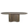 Giga Meubel Eettafel Ava - Ovaal - Mangohout - 240cm