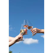 thumbnail: Schott Zwiesel Wijnglazenset MioVino 12-delige - Rode wijnglazen, Witte wijnglazen en Champagneglazen