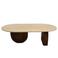 Giga Meubel Salontafel Wessel Ovaal - Travertin/Hout - Bruin - 120x65x38cm