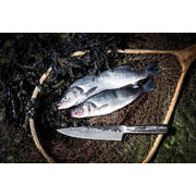 thumbnail: Forged Koksmes Intense 20.5 cm