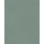 thumbnail: LIND DNA LIND DNA Onderzetters Nupo - Leer - Pastel Green - 13 x 11 cm - 4 Stuks