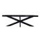 Giga Meubel Salontafel Mansour - Zwart Mangohout - 130x70x40cm