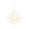 Lumineo poolster kerstverlichting buiten - 235 leds