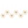 Lumineo poolster kerstverlichting (set van 6)