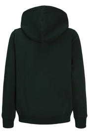 thumbnail: JACK & JONES JUNIOR hoodie - donkergroen