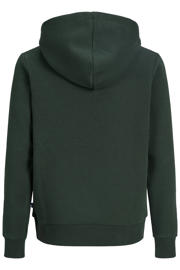 thumbnail: JACK & JONES JUNIOR