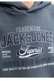 thumbnail: JACK & JONES JUNIOR hoodie met logo - grijsblauw