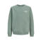 JACK & JONES JUNIOR sweater met backprint - groen