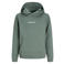 JACK & JONES JUNIOR hoodie groen
