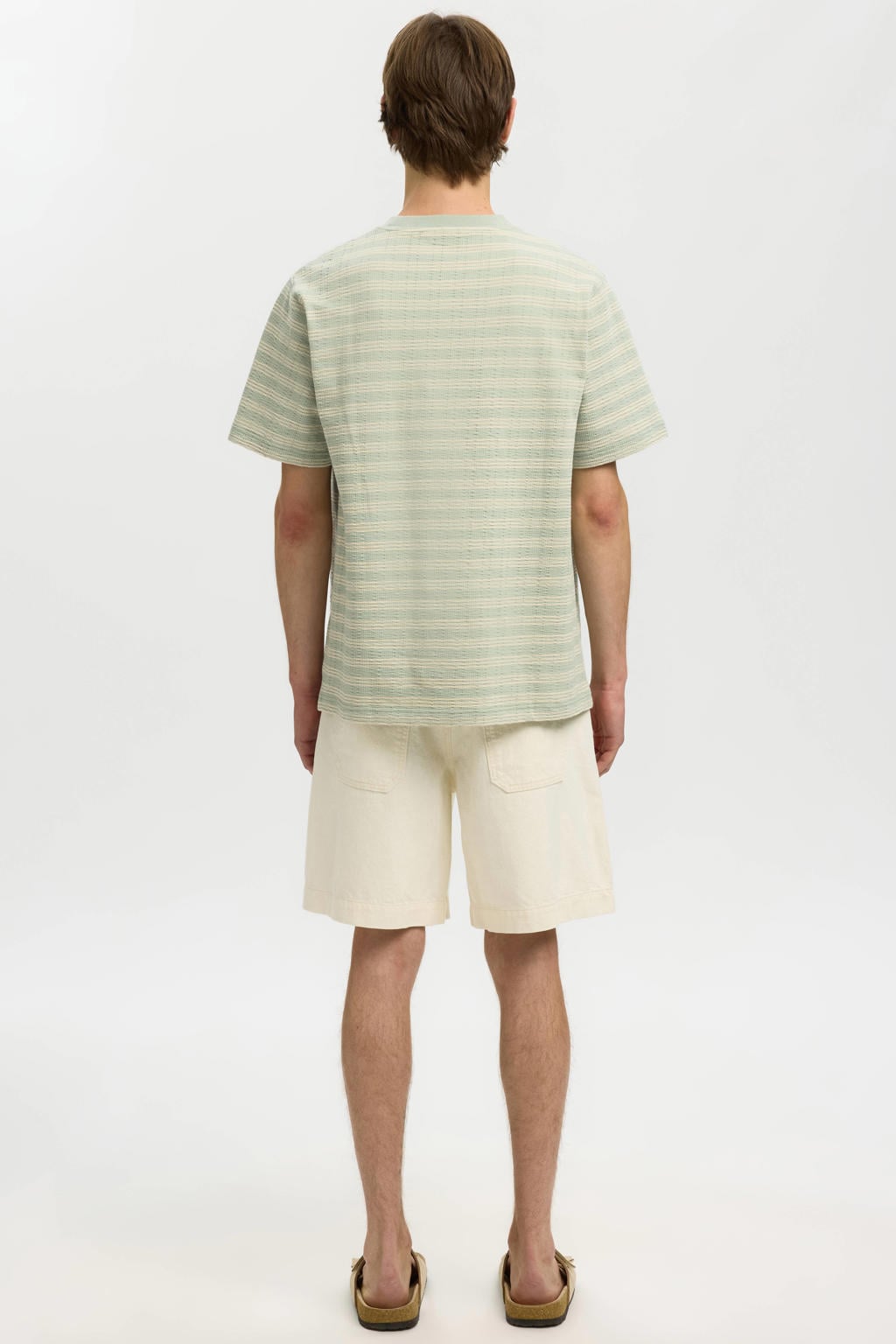 Lichtgroen en aqua heren Selected regular gestreept T-shirt seersucker van katoen met korte mouwen en ronde hals