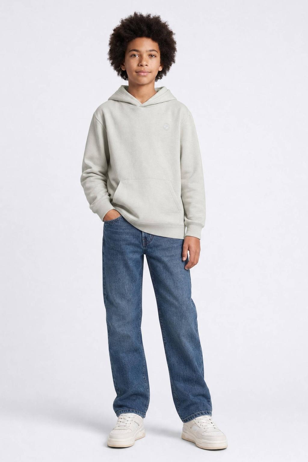 Lichtgrijze jongens Petrol Industries hoodie van sweat materiaal met backprint, lange mouwen en capuchon