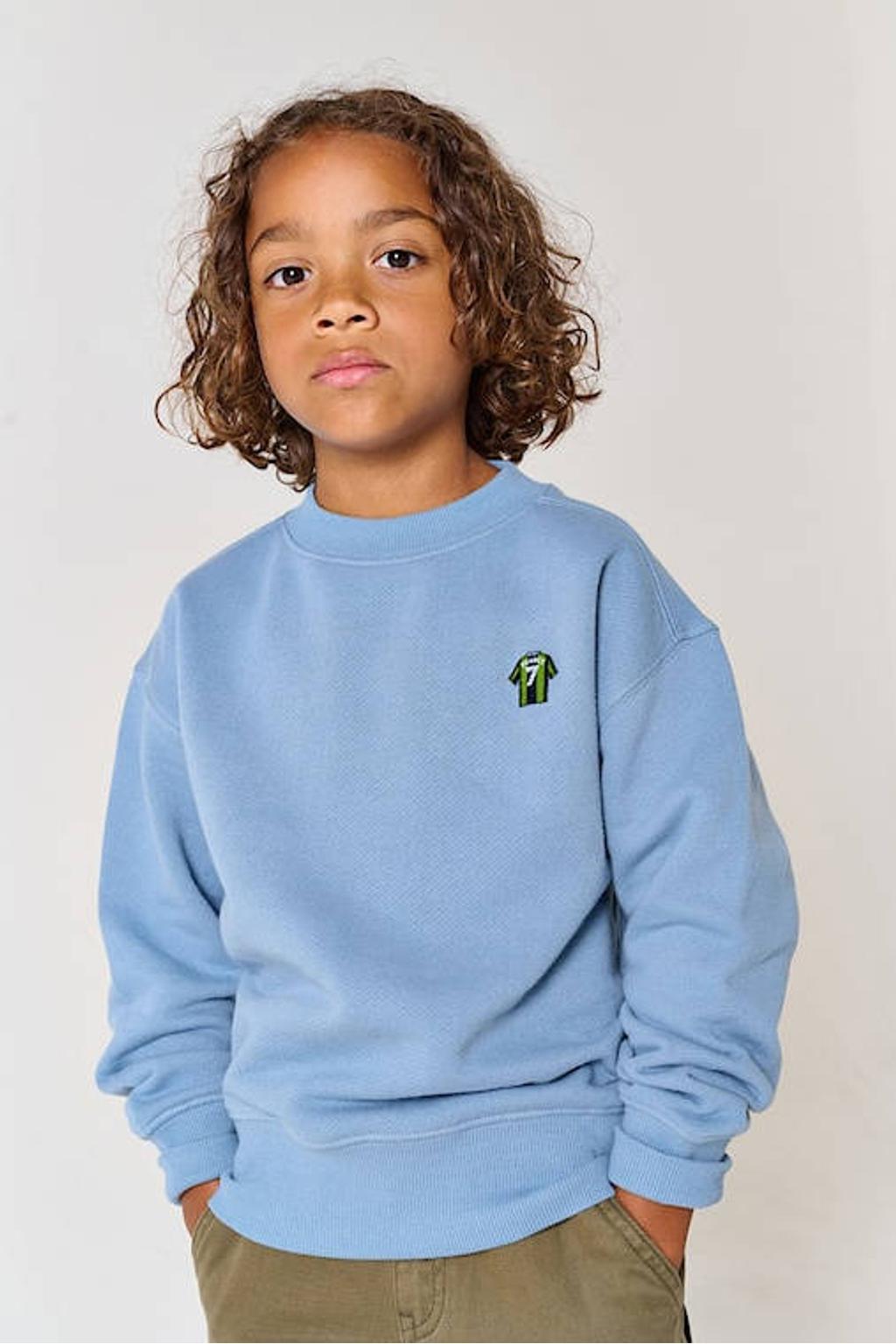 Lichtblauwe jongens Tumble 'n Dry sweater met backprint, lange mouwen en ronde hals