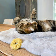 thumbnail: Hoopo Kattenspeelgoed Mini Donuts