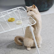 thumbnail: Hoopo Kattenspeelgoed Mini Donuts