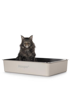 Kattenbak Pool