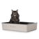 Hoopo Kattenbak Pool