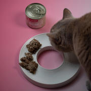 thumbnail: Hoopo Kattenvoer Beef Paté (6 Pack)