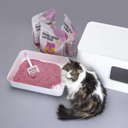 thumbnail: Hoopo Kattenbakvulling Tofu Babypowder x 4 pack Cat Litter