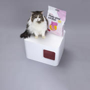 thumbnail: Hoopo Kattenbakvulling Tofu Babypowder x 4 pack Cat Litter
