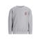 Like Flo rechtvallende sweater met backprint - grijs
