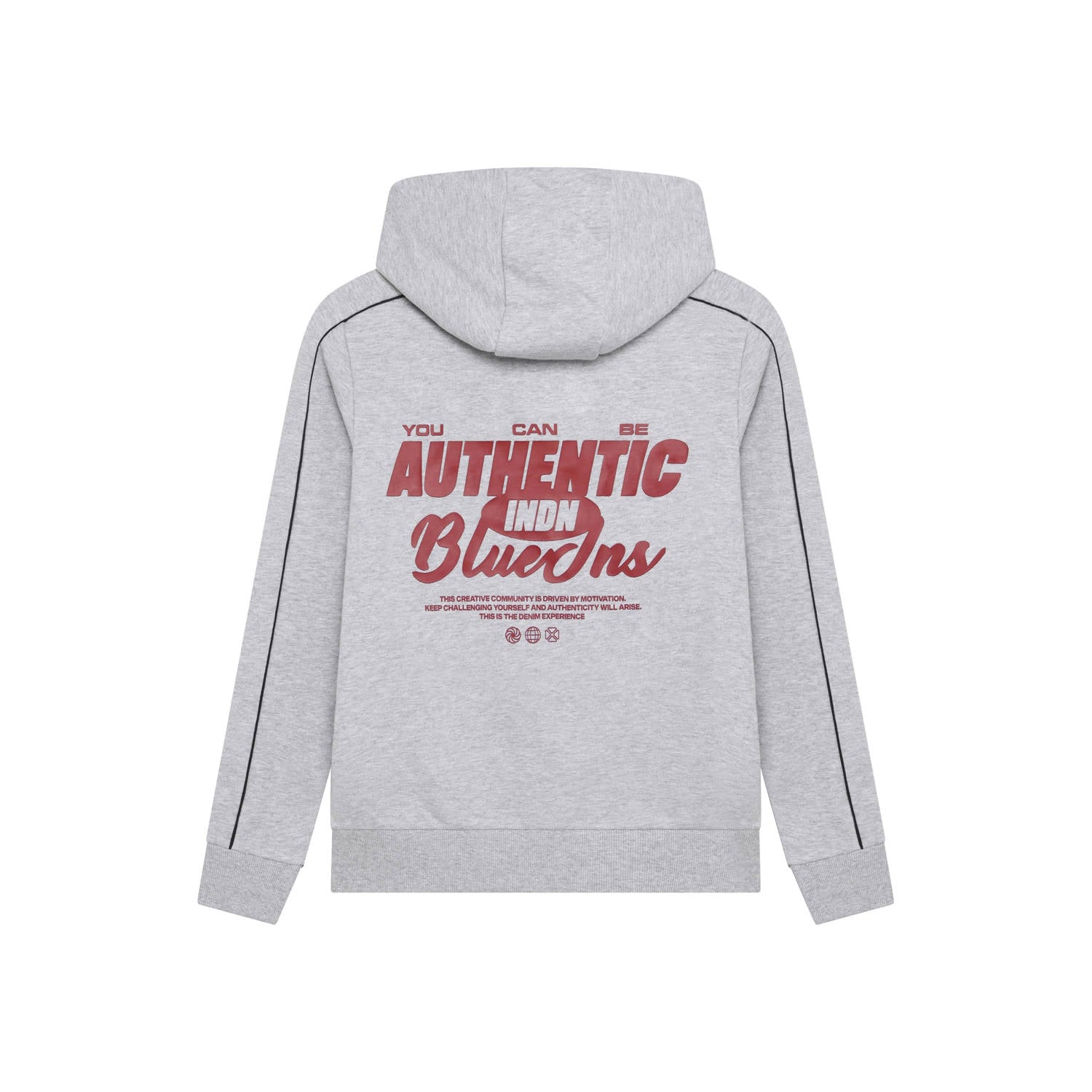 Indian Blue Jeans rechtvallende hoodie met backprint grijs