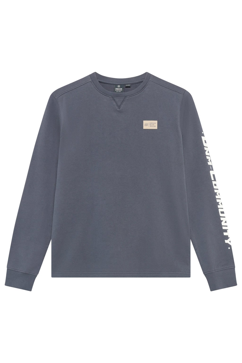 Grijze jongens Indian Blue Jeans rechtvallende longsleeve van katoen met backprint, lange mouwen en ronde hals