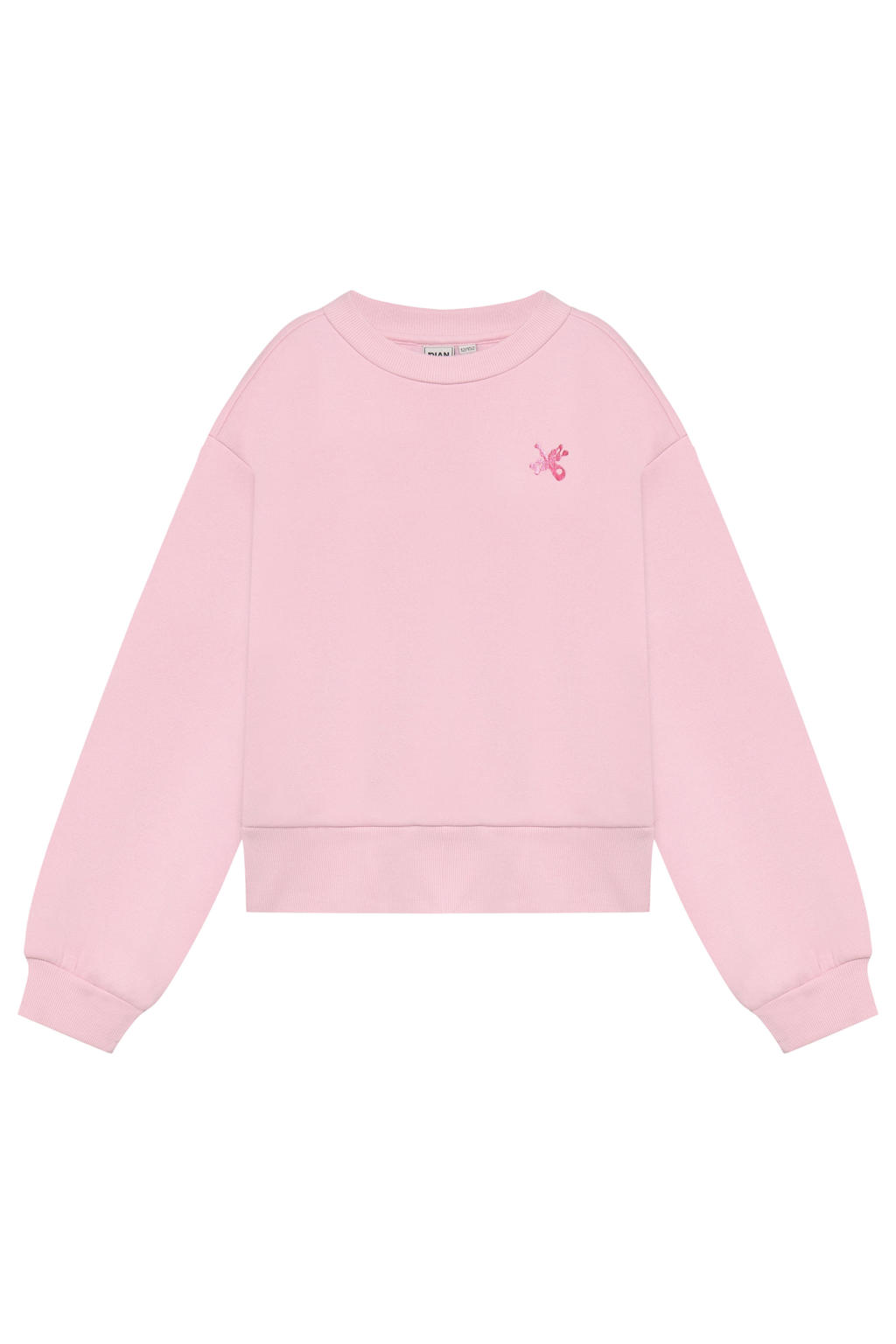 Indian Blue Jeans oversized sweater met backprint - roze
