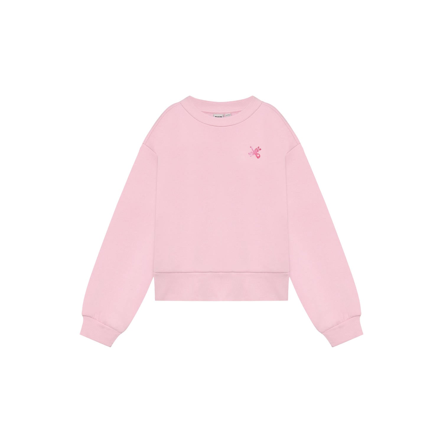 Indian Blue Jeans oversized sweater met backprint roze