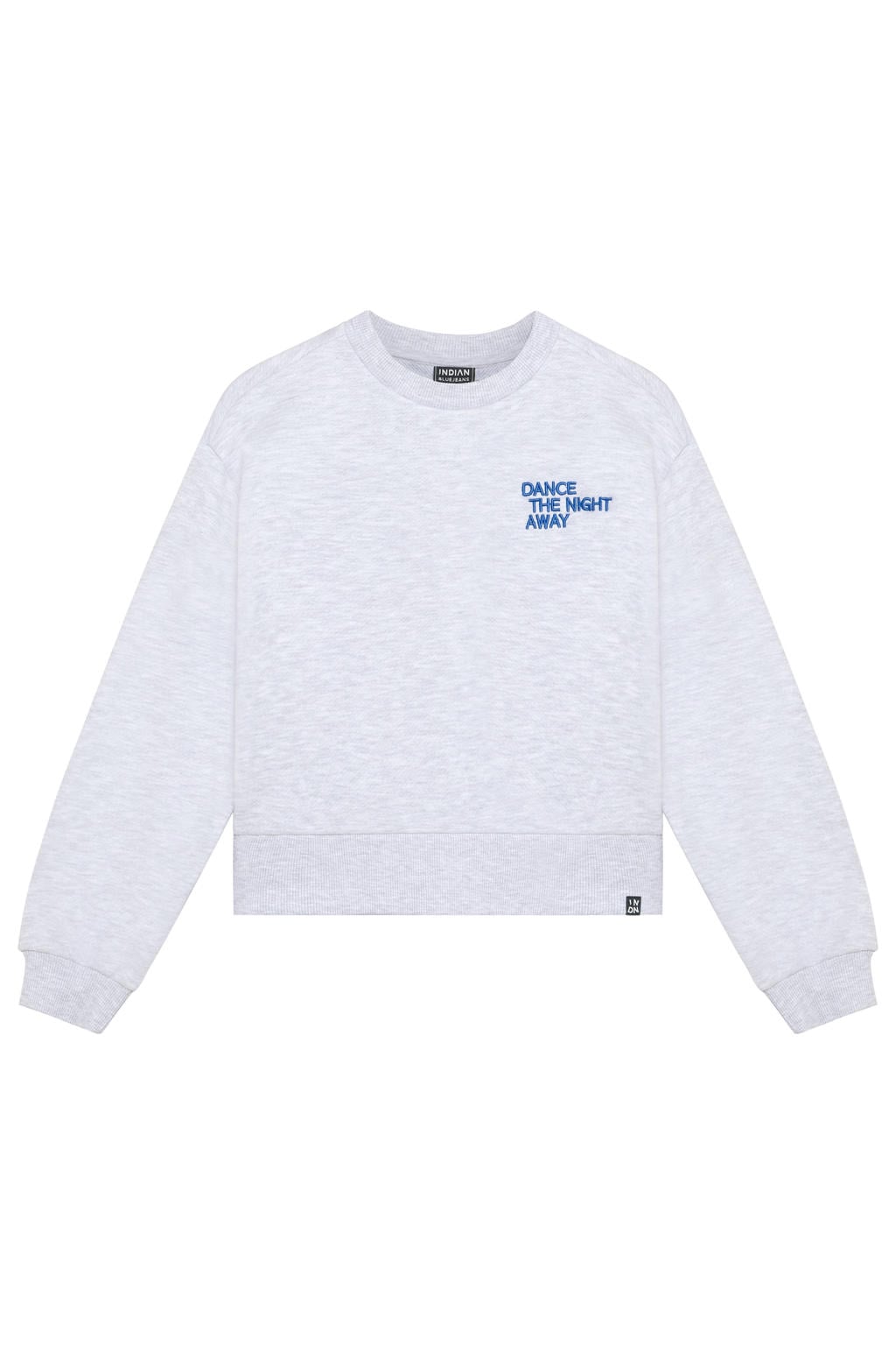 Lichtgrijze meisjes Indian Blue Jeans oversized sweater met backprint, lange mouwen, ronde hals en geribde boorden